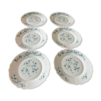 Vintage forget-not dessert plates