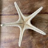 Starfish