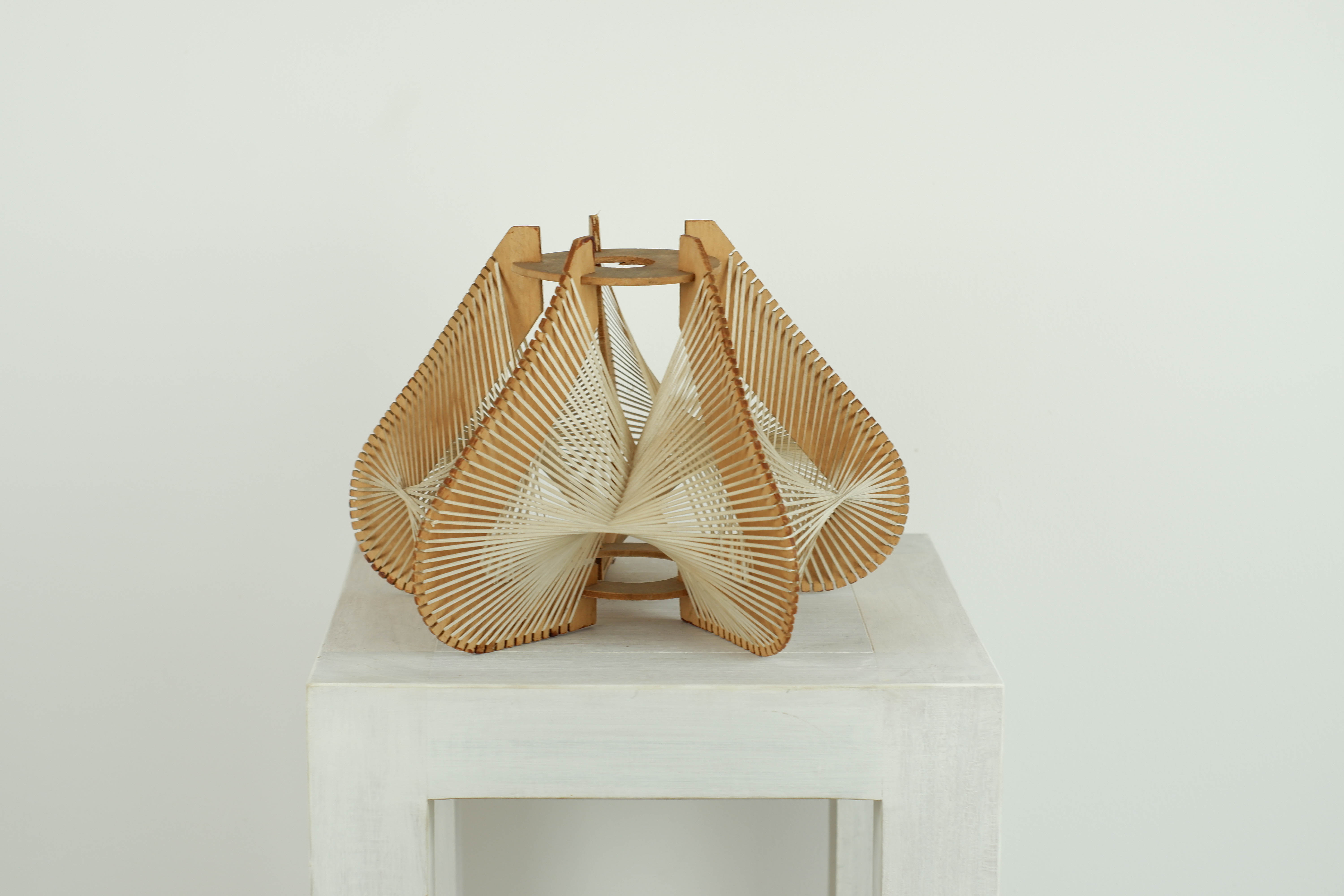 Lampshade for suspension in wire and wood