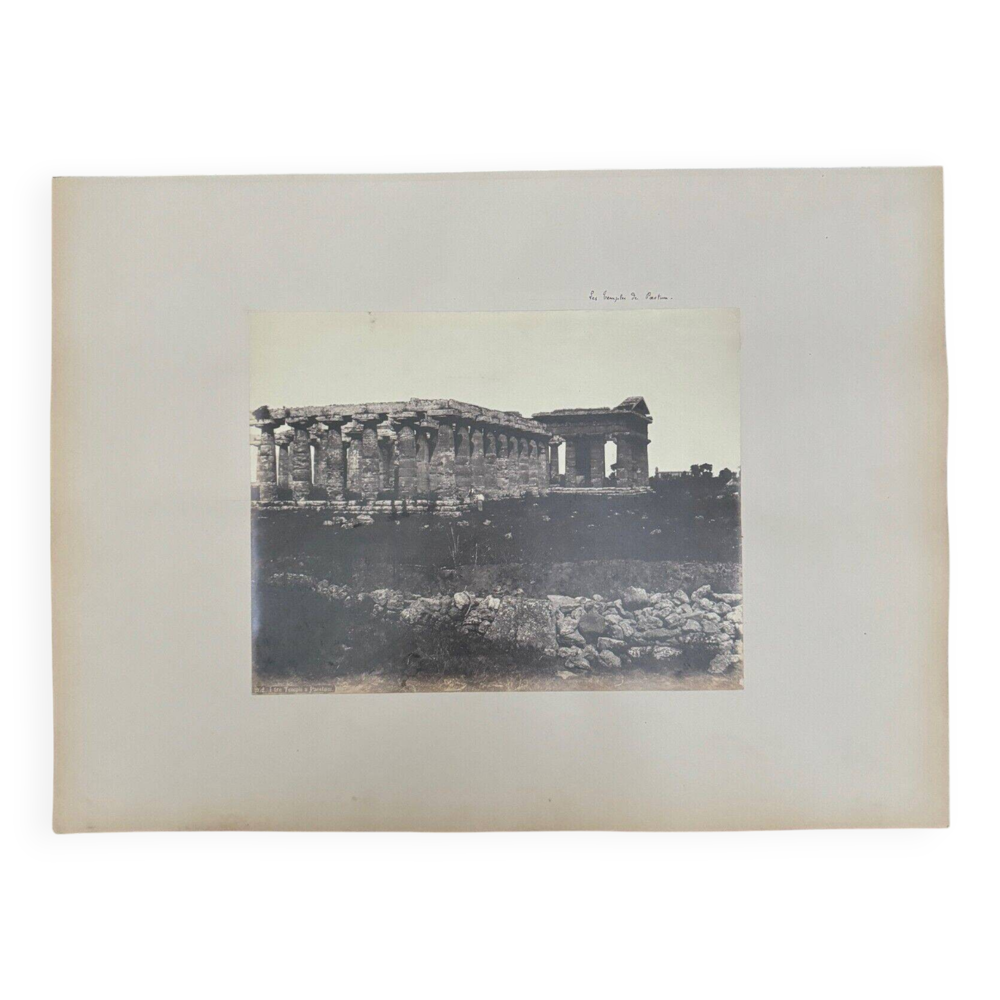 Photo albumine les temples de Paestum XIXe
