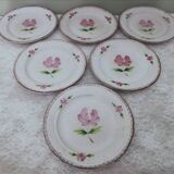 6 stoneware dessert plates