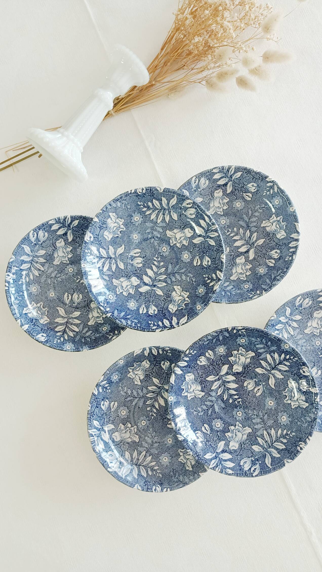 Set of 6 Royal Tudor Velvet Saucers