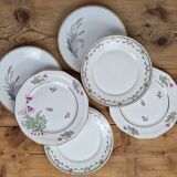 Composition de 6 assiettes plates en porcelaine