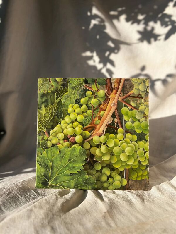 Nature morte française vintage - raisins de vigne (30x30 cm)