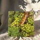 Vintage French still life - grapes (30x30 cm)