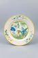 Flat plate Pier Import model ARA 27.5 cm