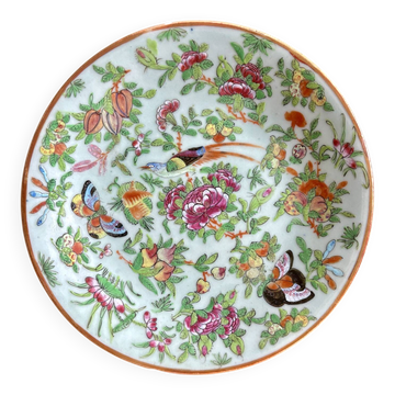 Antique celadon porcelain plate from Canton, China (1820-1850)