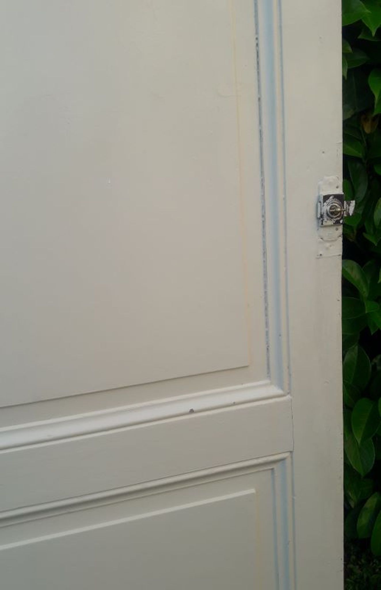 Porte 229,2x79,2cm de placard ancienne