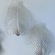 Set of 2 Wall light Trasparent Murano Glass Leave by Barovier e Toso, 1940s