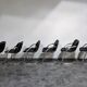 Set of 6 Gastone Rinaldi Dining chairs, 1970s
