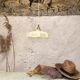 Opaline hanging