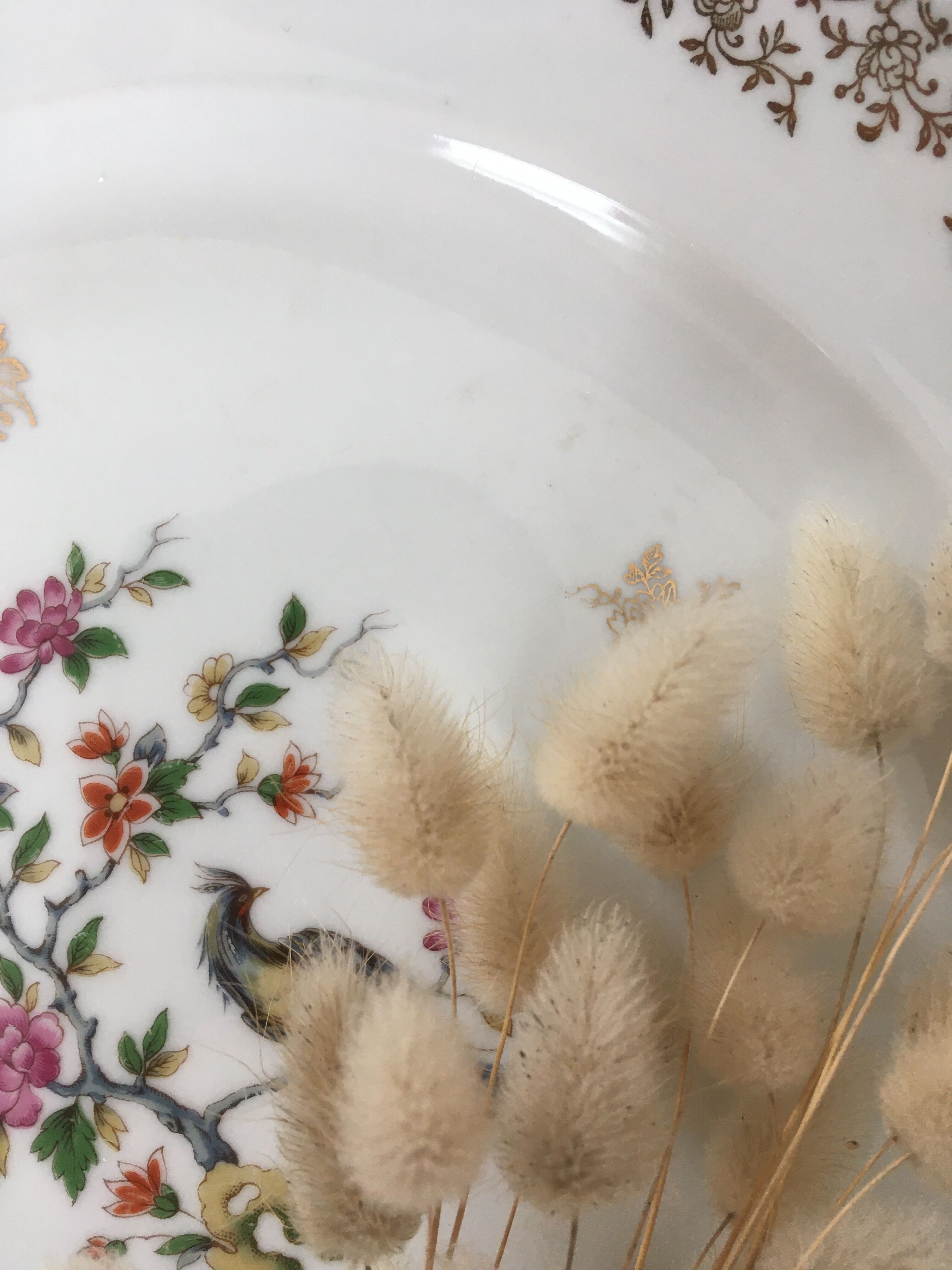 Round porcelain dish bird of paradise