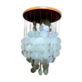 Ceiling light mother-of-pearl grapevines