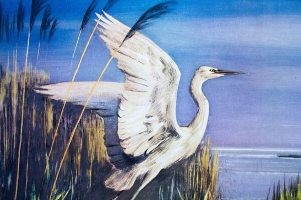 Aigrette, grille éducatif, par Zerritsch, 1926