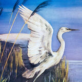 Egret, Educational Grid, by Zerritsch, 1926