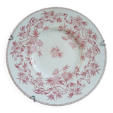 Antique plate in ironstone