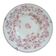 Antique plate in ironstone