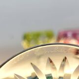 Box of 4 Val Saint Lambert "Berncastel" no. 204 Roemer glass – Belgium 1905