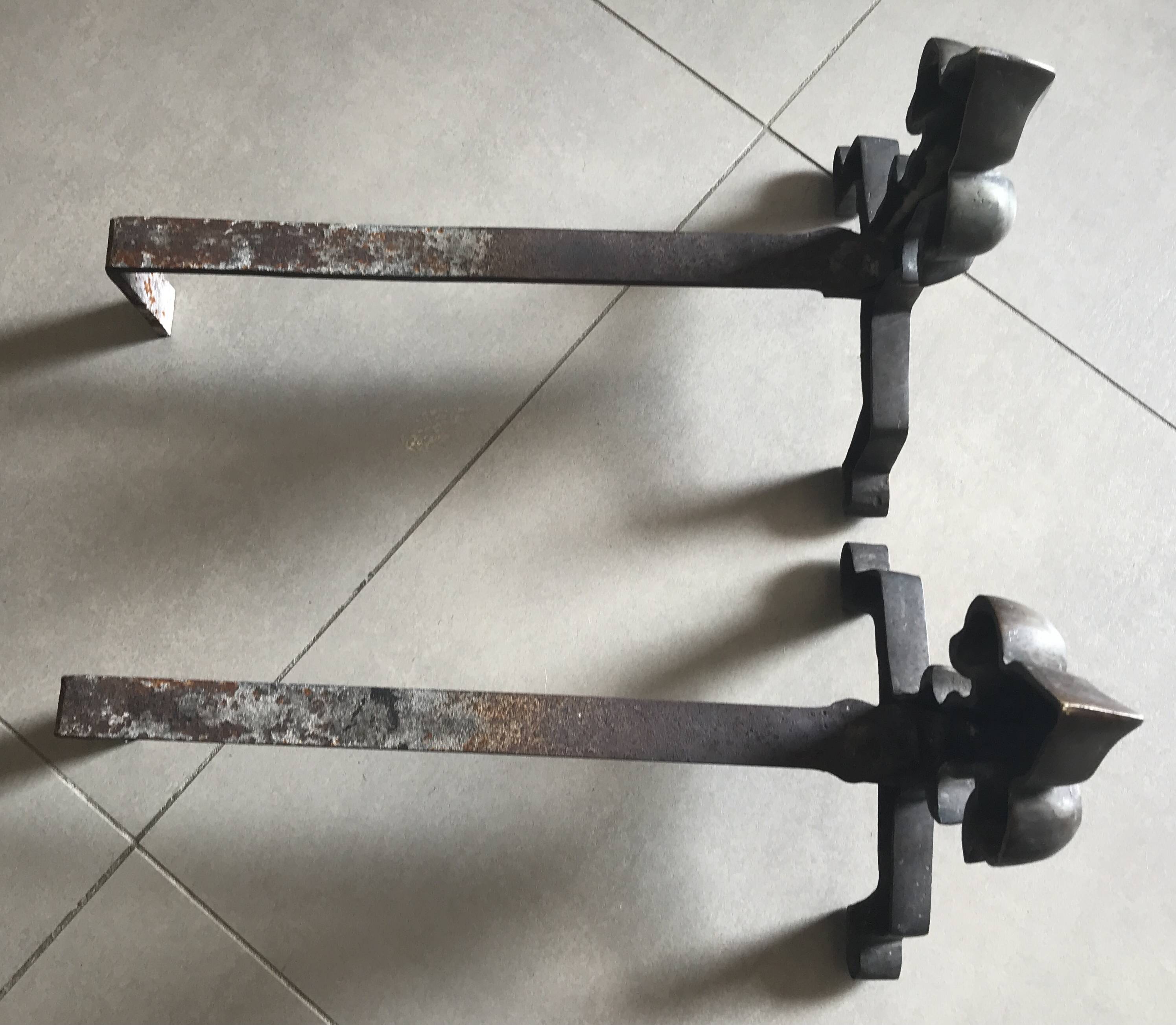 Pair of bronze fireplace firedogs with fleur-de-lys decor, art deco