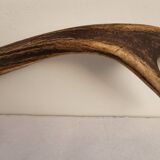 Deer antler