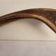 Deer antler