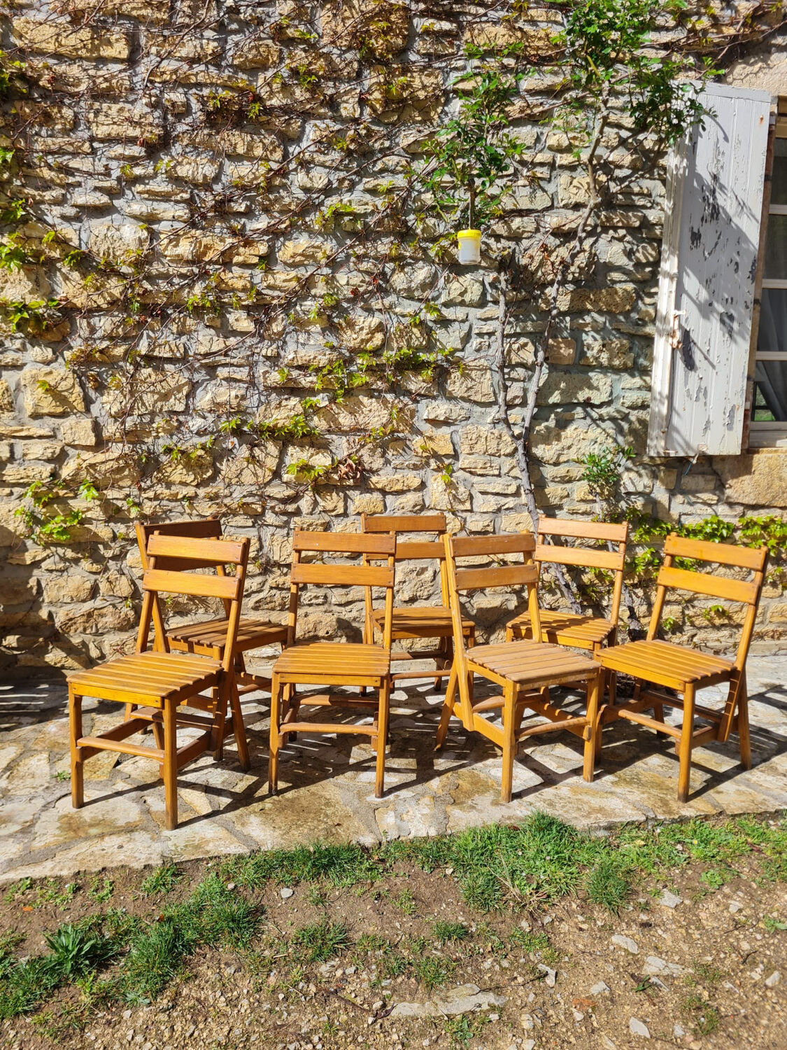 Lot de 7 chaises en bois