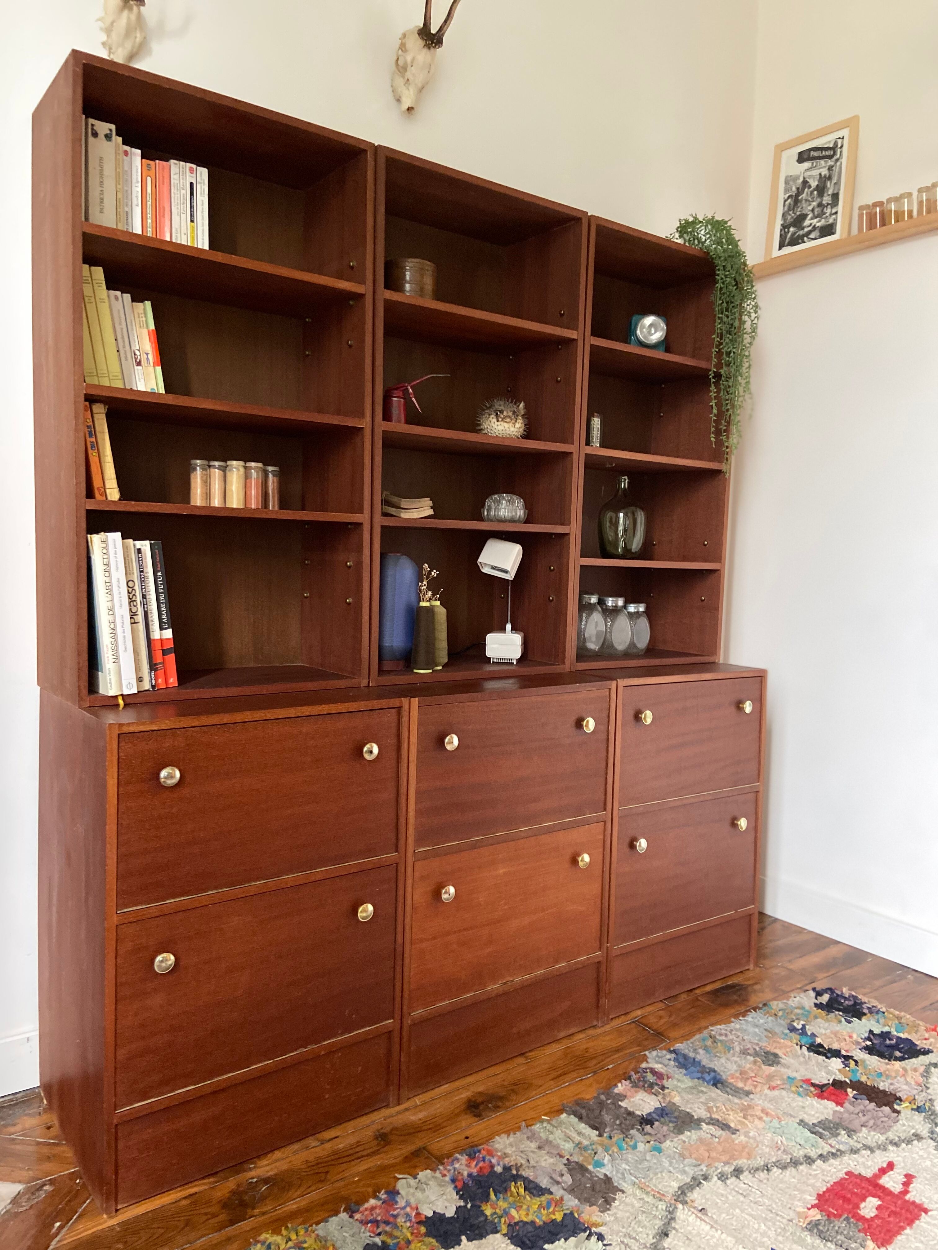 Libraries with valves 1960