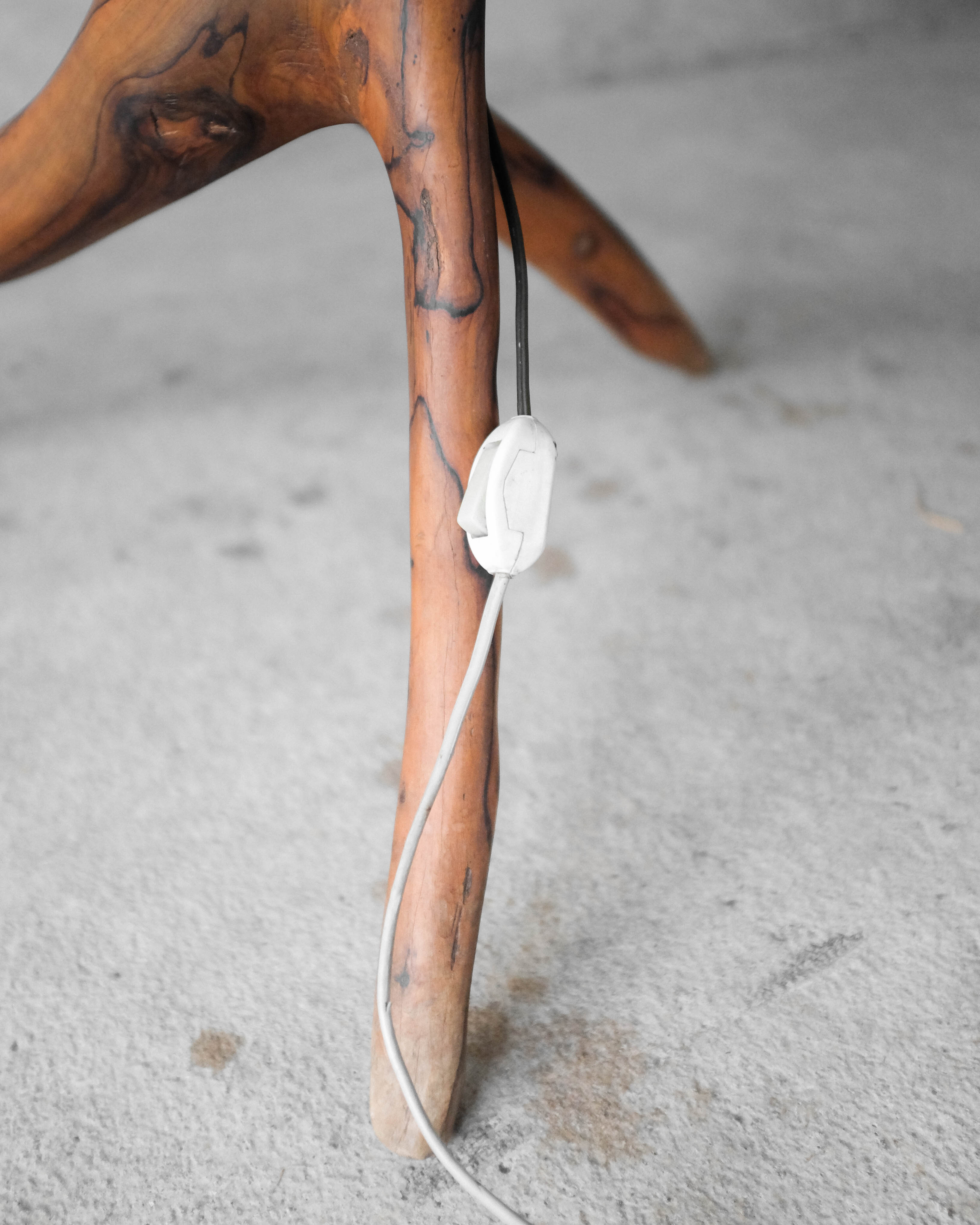 Massive olive tree lamppost - 1960