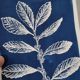 Cyanotype botanique