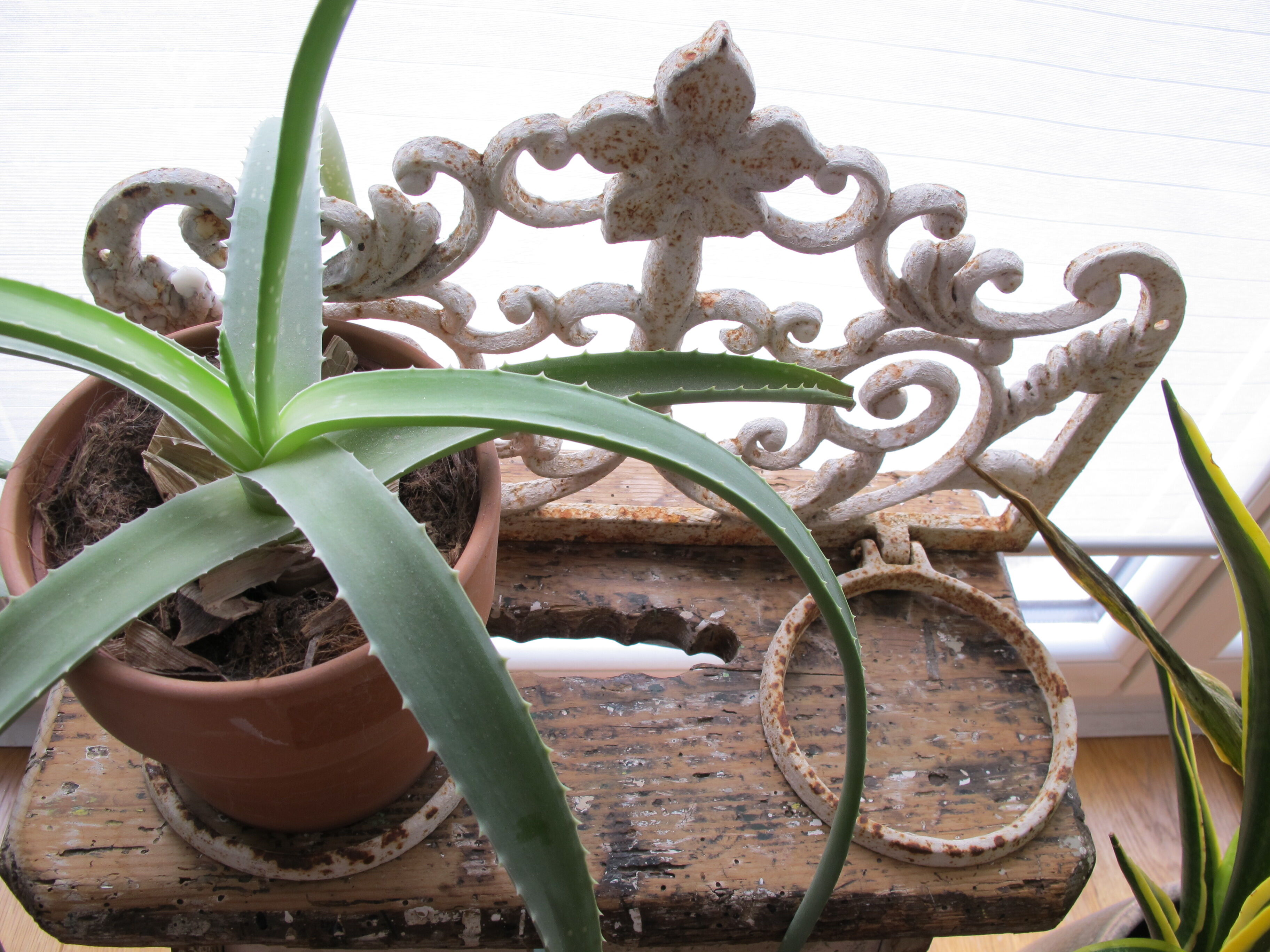 Gardener in wrought iron