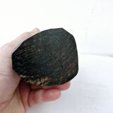 African woman bust in ebony wood hand carved ethnic art