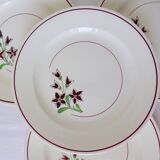 4 flat plates from Salins