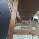 Large dining table