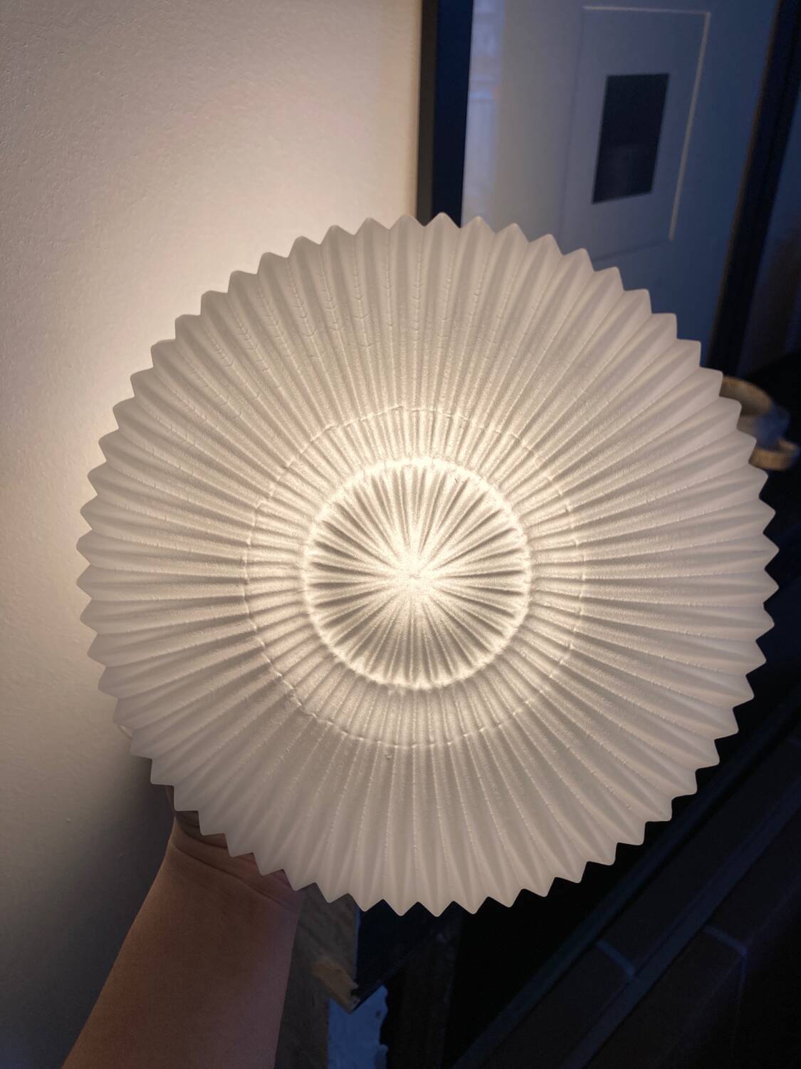 Molded glass flower wall light