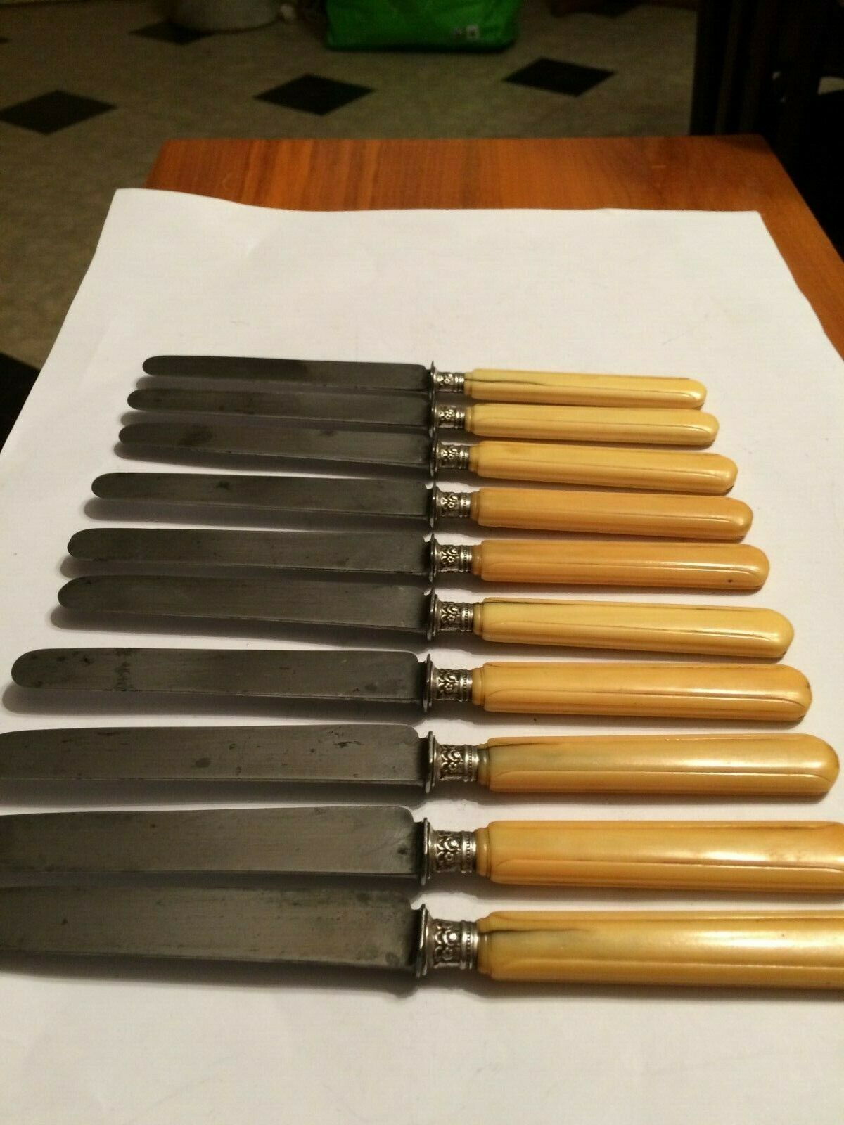 Set of 10 blade knives in steel cheese and dessert