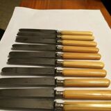Set of 10 blade knives in steel cheese and dessert