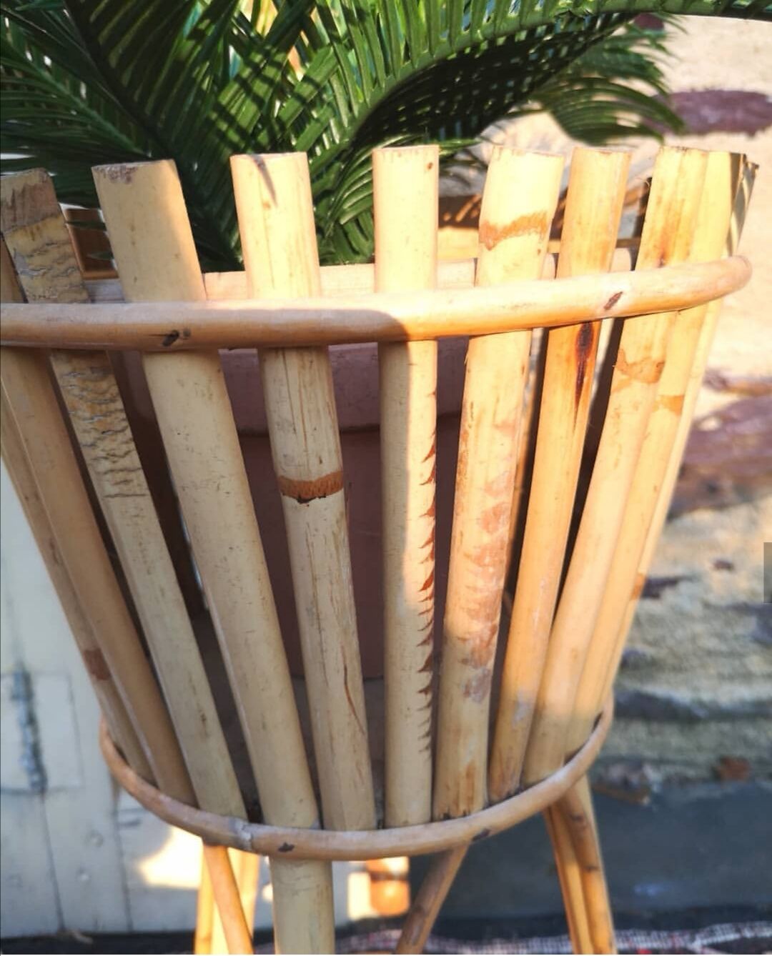 Rattan and bamboo holder plants