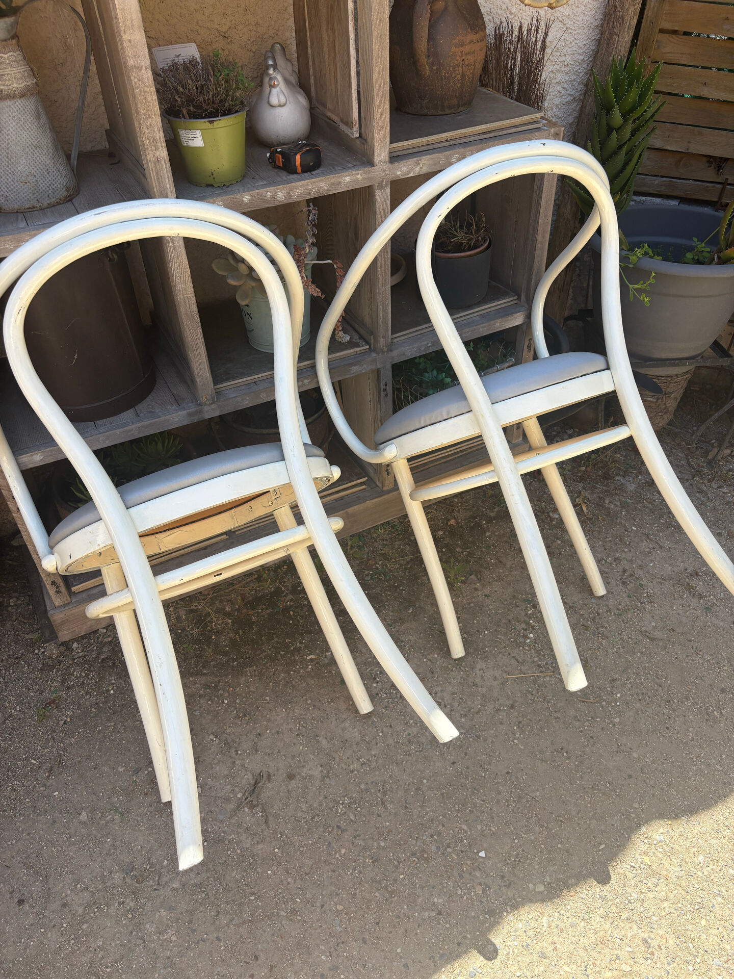Thonet chairs "the curvaceous one"