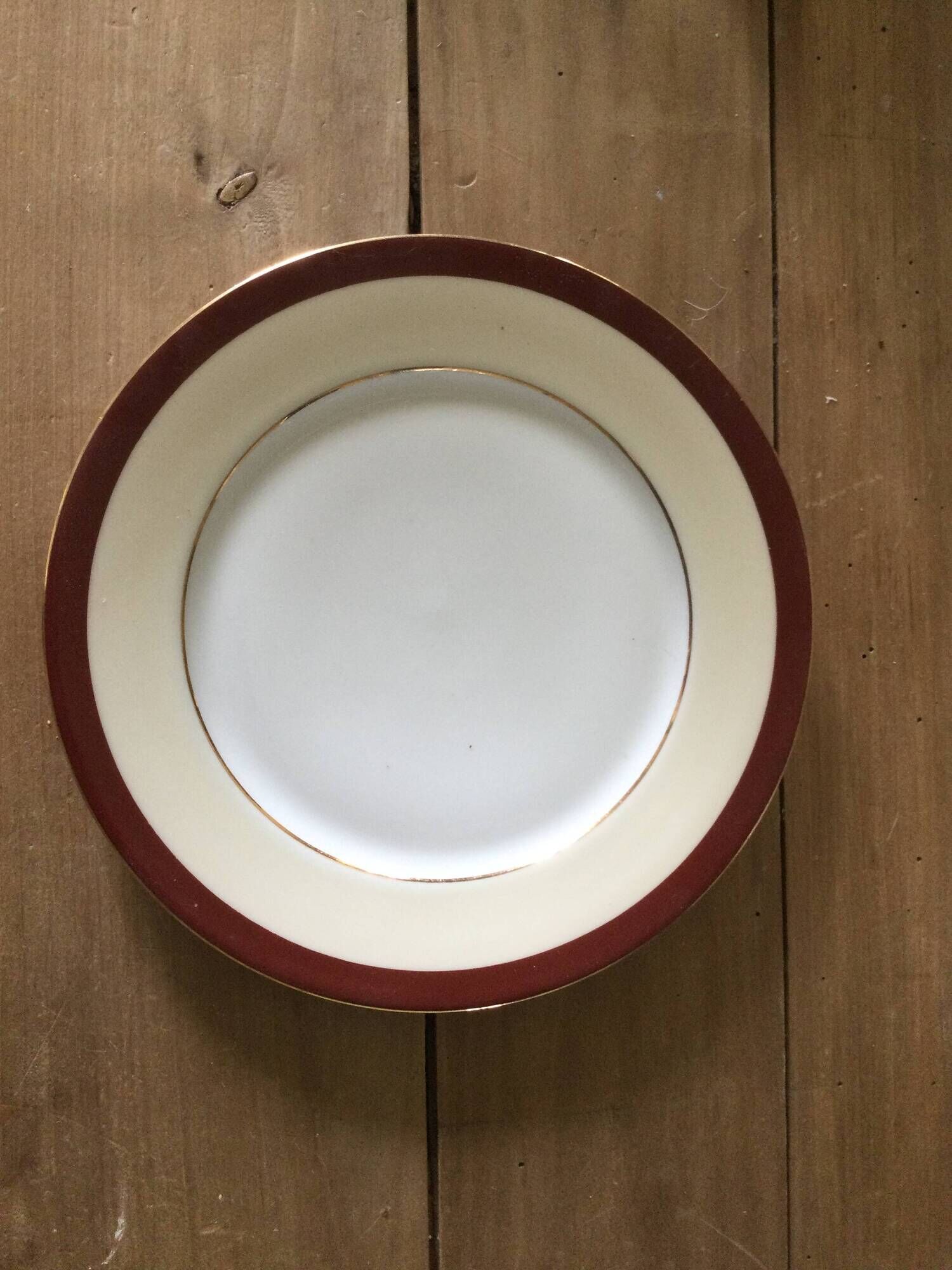 Set of 13 antique Limoges porcelain plates