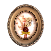 Domed frame dried flowers