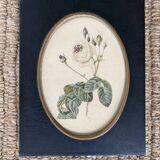 Set of three frames medallions
