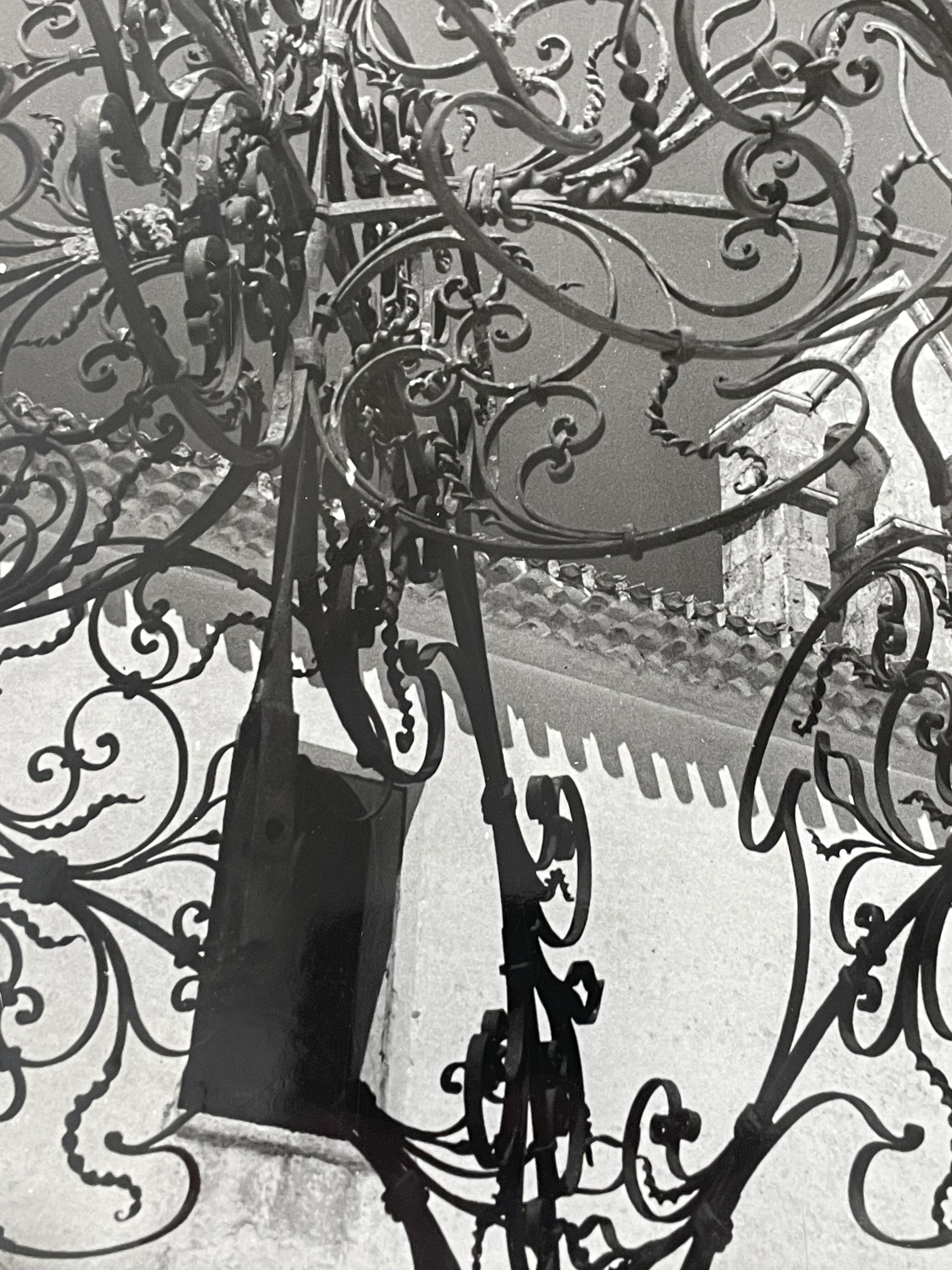 Black and white silver photography early twentieth century