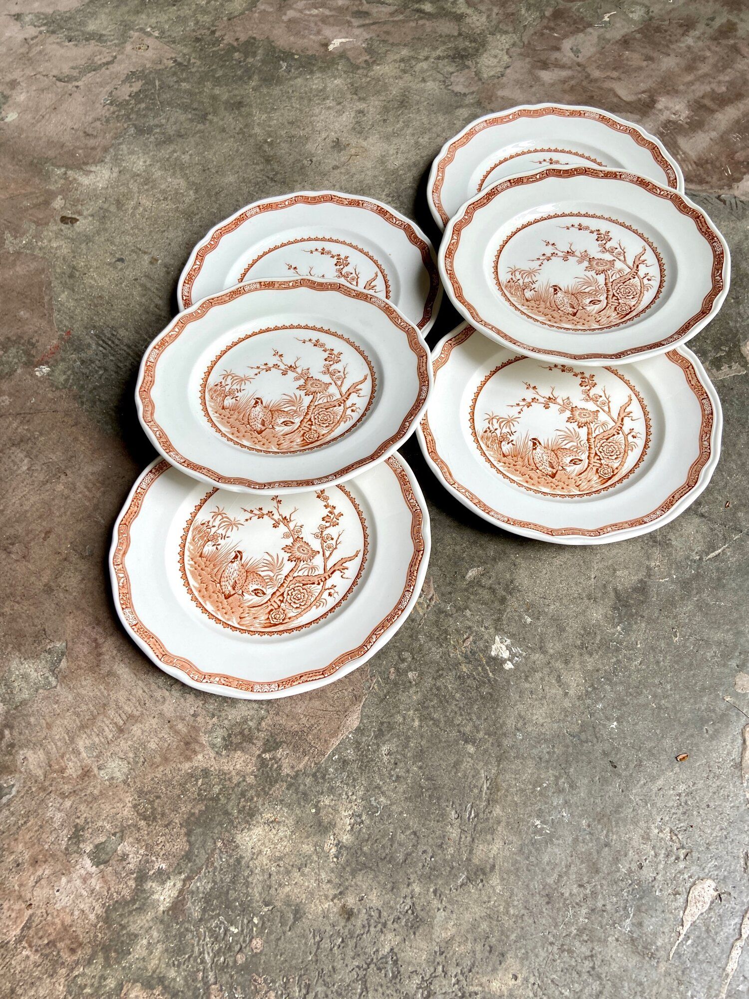 6 flat plates in ochre English ironland, service "Furnivals Quail"