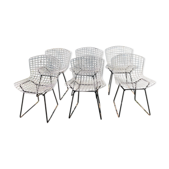 Set of 6 chairs by Harry Bertoia, 50