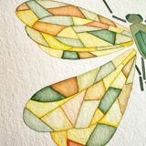 Dragonfly 24x32 cm