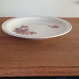 Dish