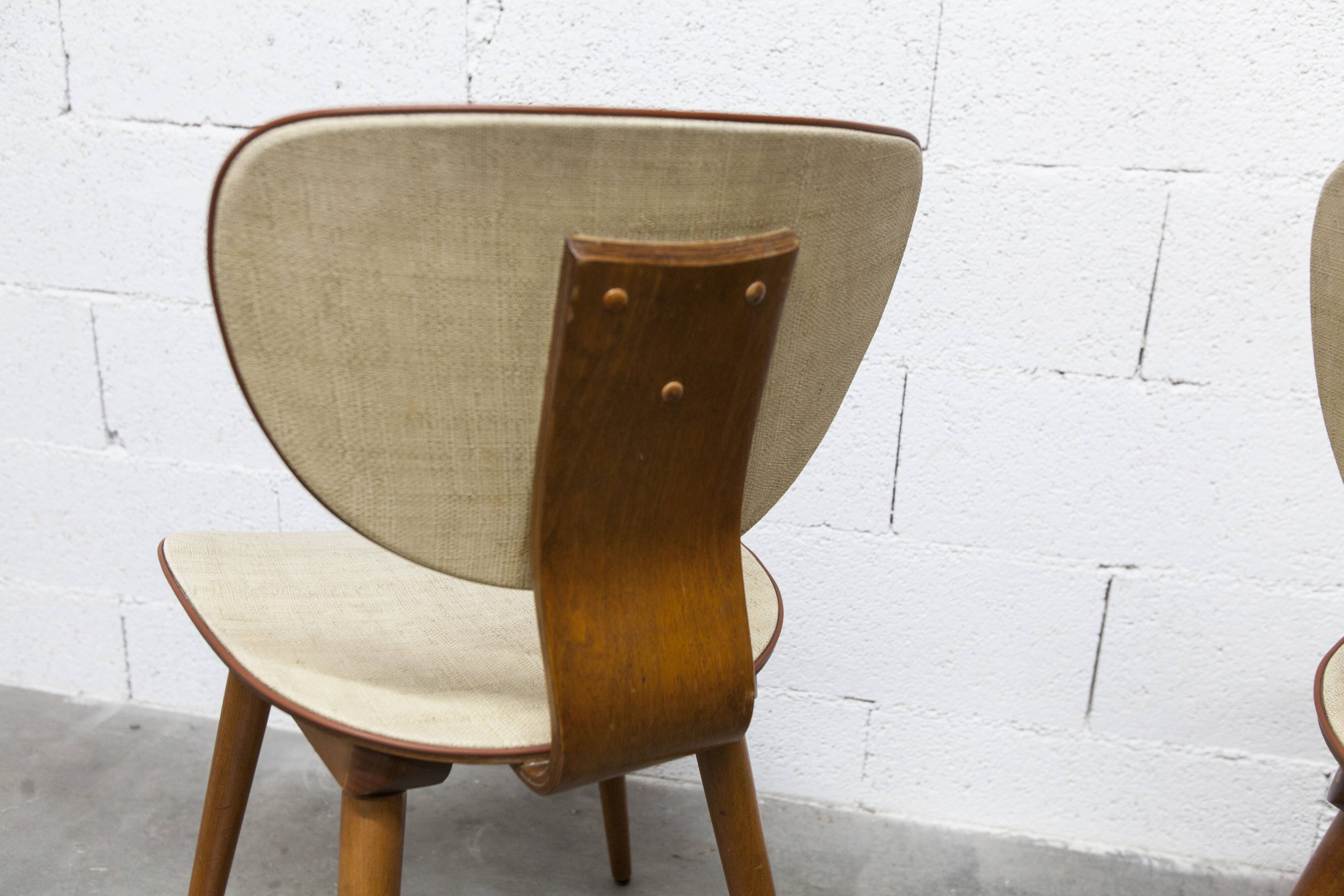 Pair of Baumann chairs No. 831 G1 "design Max Bill" 1960