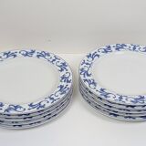 Set of 10 white and blue flat plates