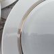Set of 7 Limoges porcelain dinner plates from Maison Charles Ahrenfeldt