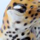 Porcelain leopard statuette, Ronzan, Italy, 1950s
